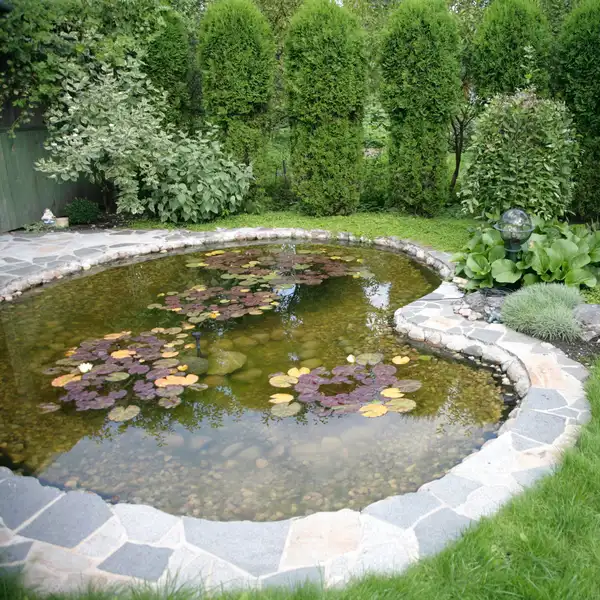 Water Features & Ponds